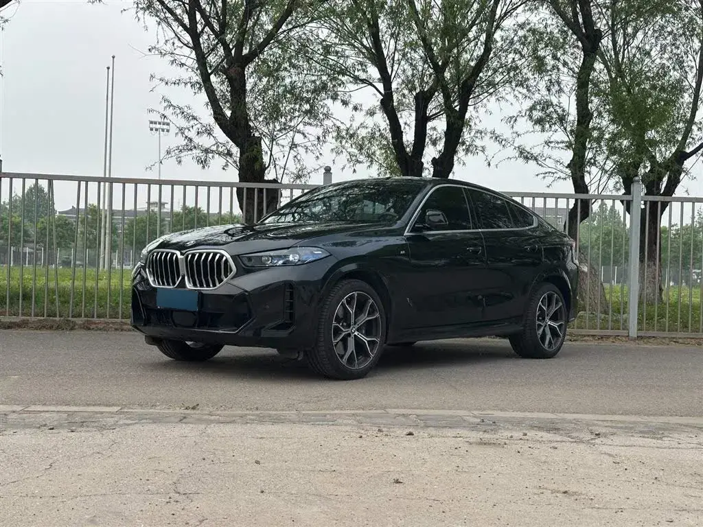 2023 BMW X6 3.0T 381HP L6 8AT