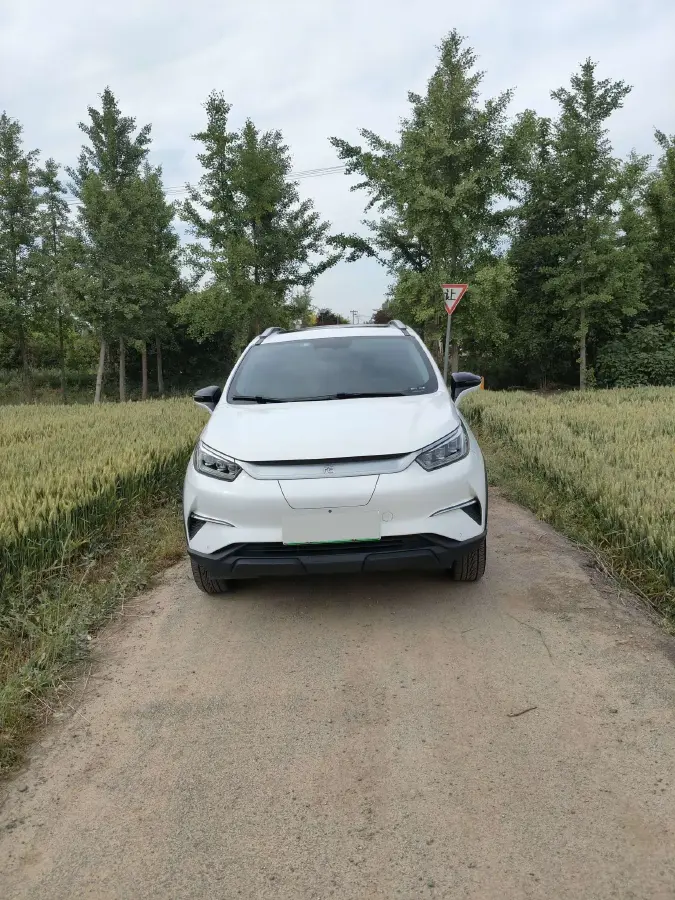 2021 BYD Yuan Pro BEV 50.1KWH