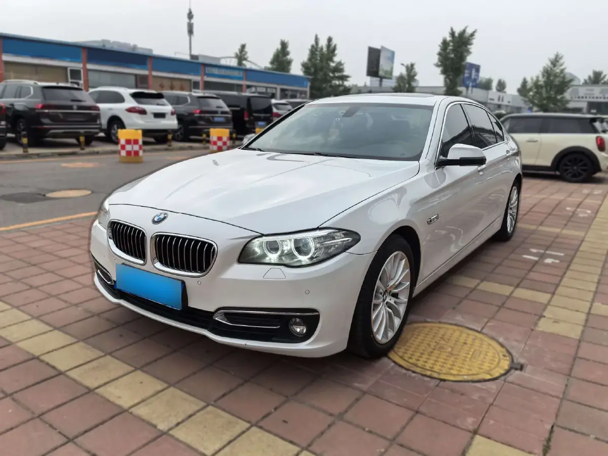 2017 BMW 5 Series 2.0T 218HP L4 8AT