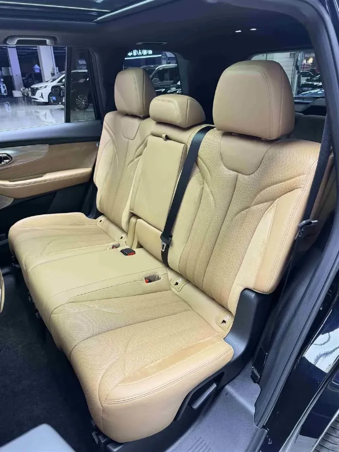 2024 GAC Trumpchi ES9 2.0T 190HP L4 2DHT PHEV 25.57KWH,autocango,china used car exporter,china ev exporter,chinese used car exporter,chinese used ev exporter