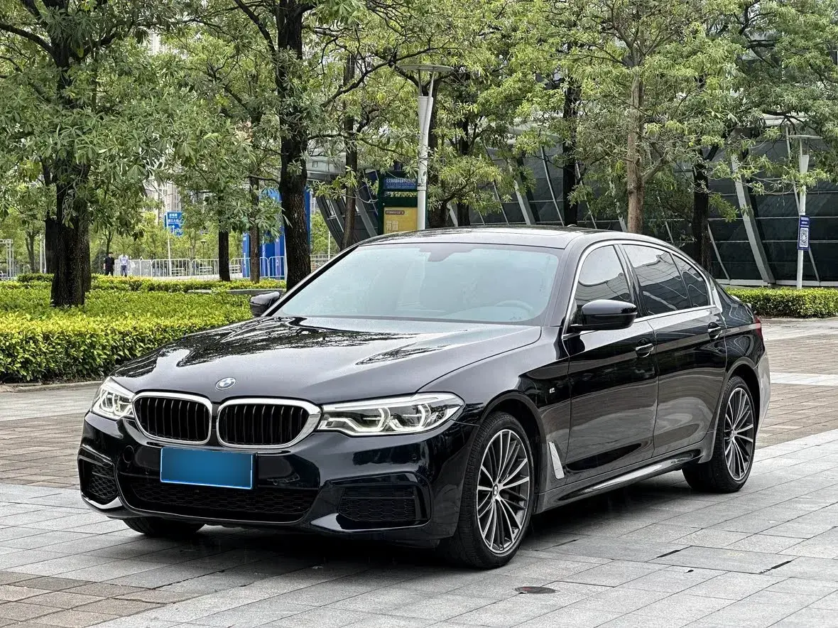 2020 BMW 5 Series 2.0T 252HP L4 8AT