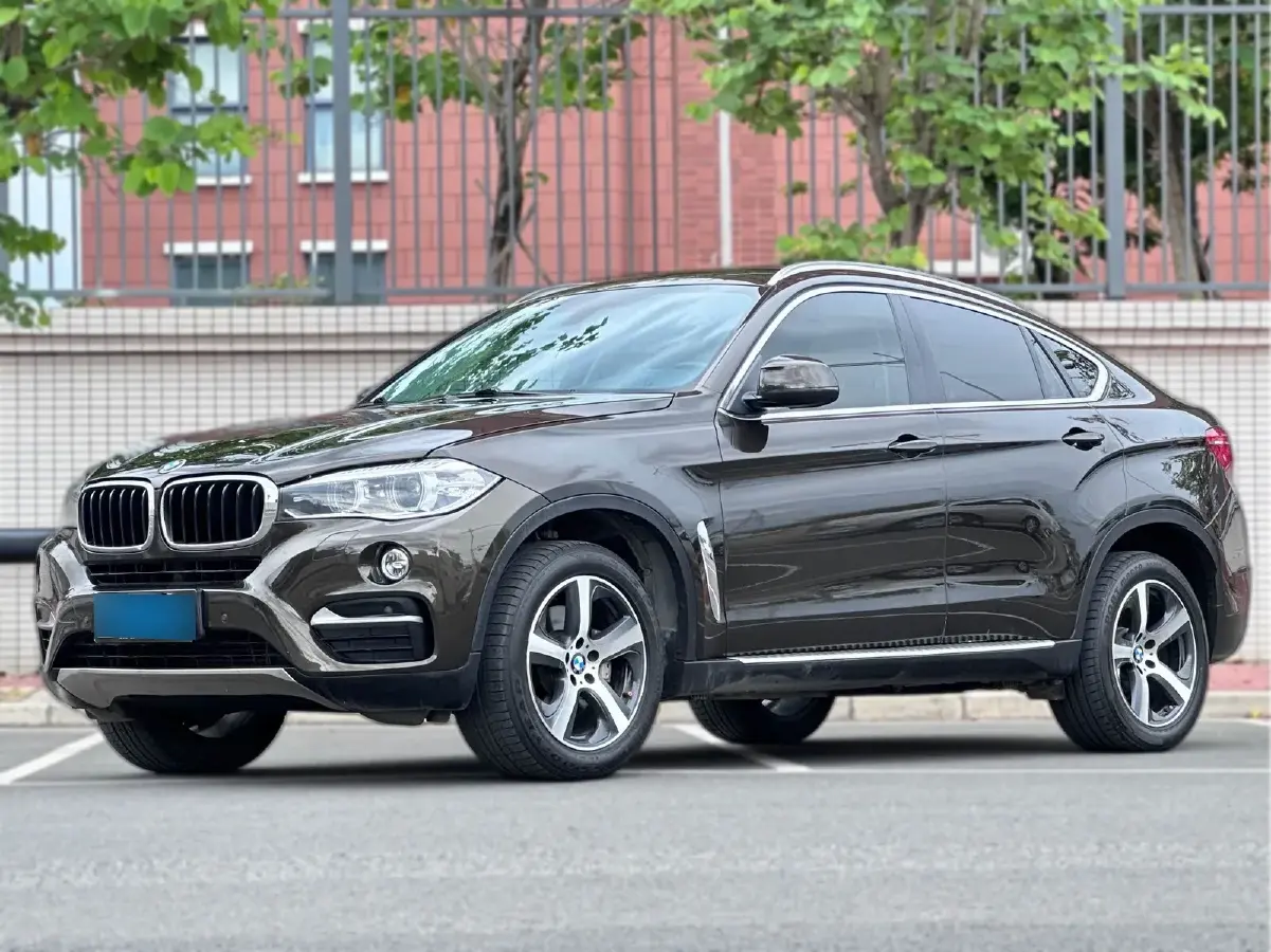 2017 BMW X6 3.0T 306HP L6 8AT