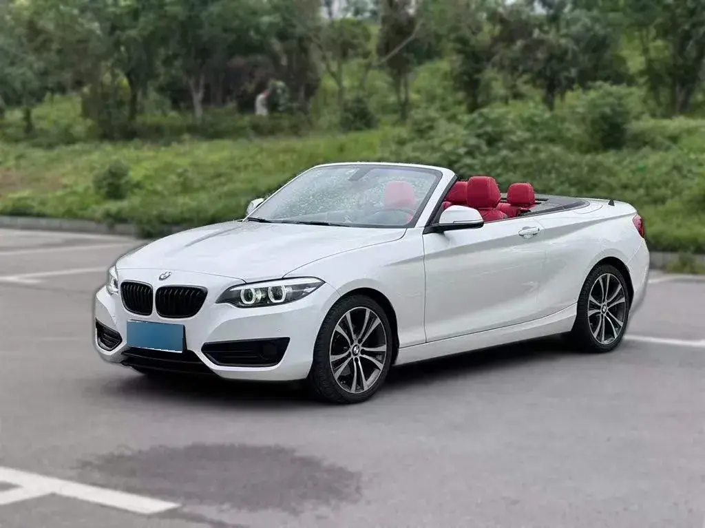 2019 BMW 2 Series 2.0T 184HP L4 8AT