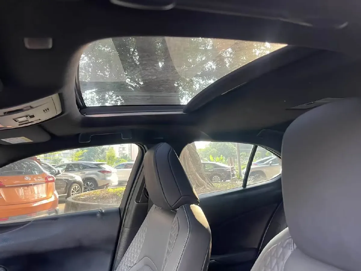 2020 Lexus UX 2.0L 146HP L4 E-CVT Hybrid,autocango,china used car exporter,china ev exporter,chinese used car exporter,chinese used ev exporter