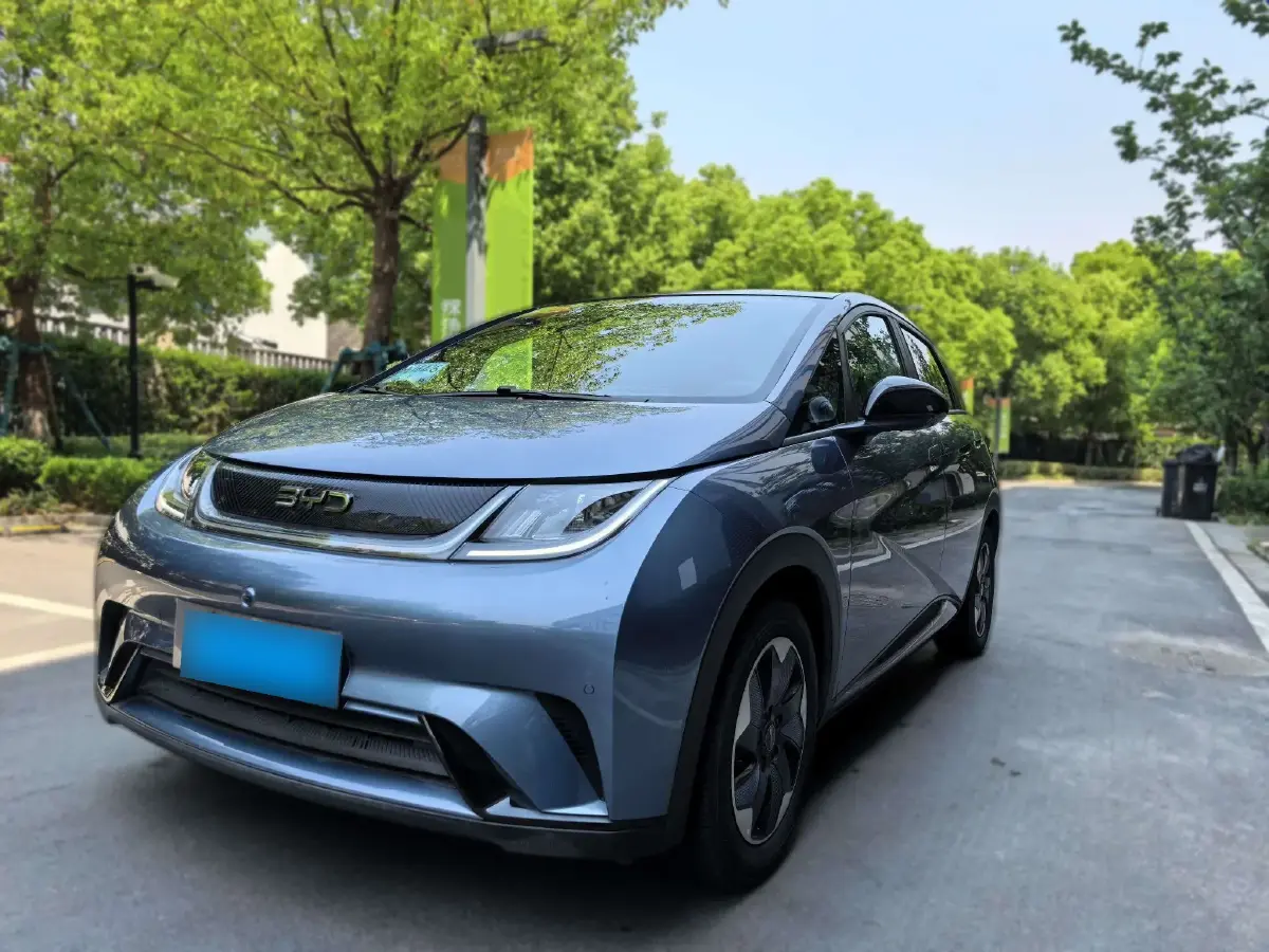 2024 BYD Dolphin BEV 44.928KWH