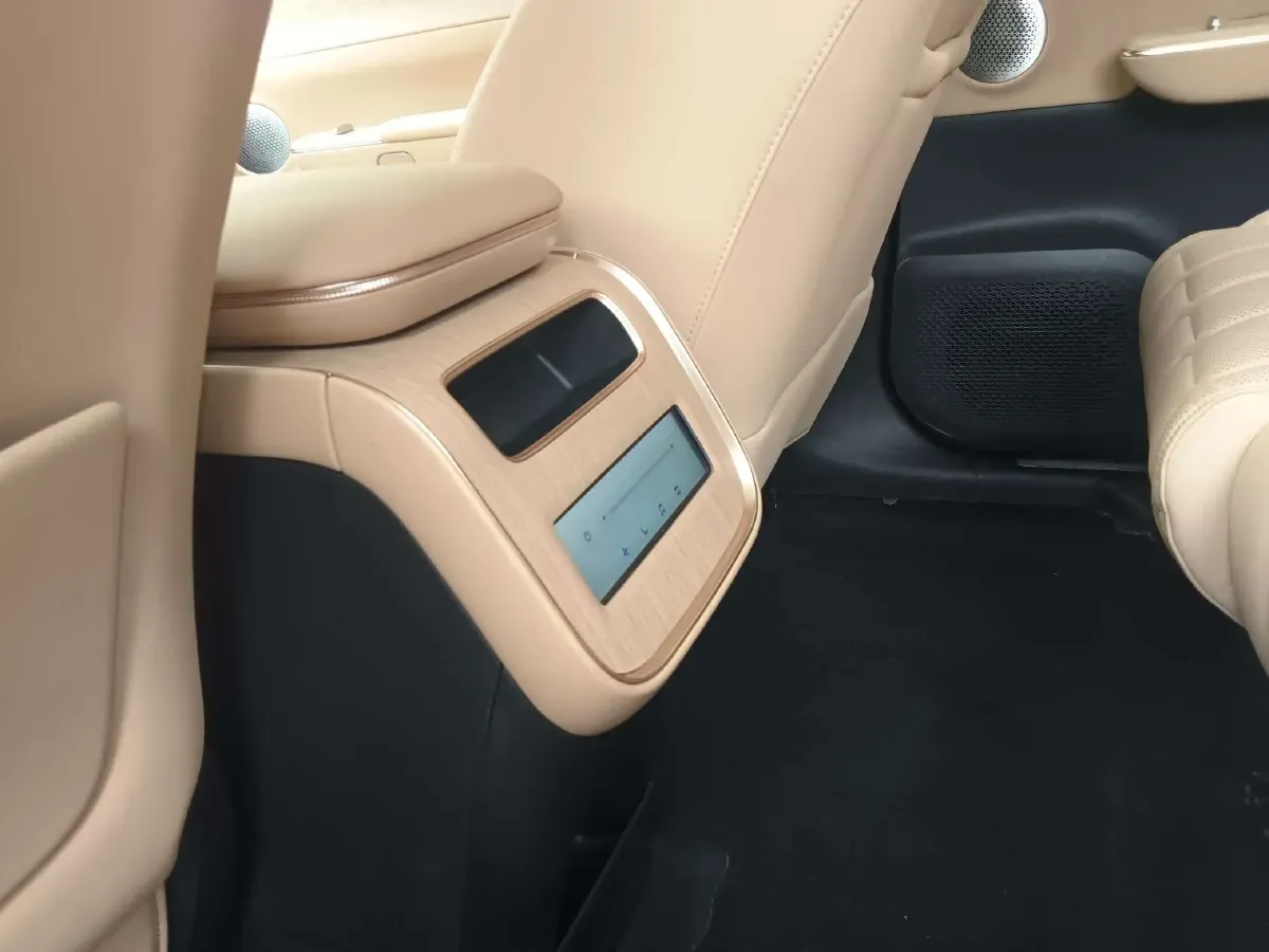 2024 Exceed Sterra ET BEV 100KWH,autocango,china used car exporter,china ev exporter,chinese used car exporter,chinese used ev exporter