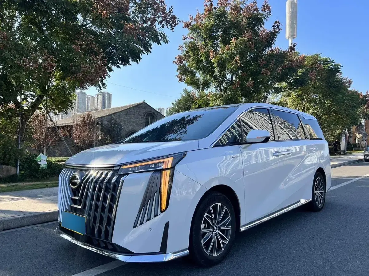 2024 GAC Trumpchi M8 2.0T 252HP L4 8AT