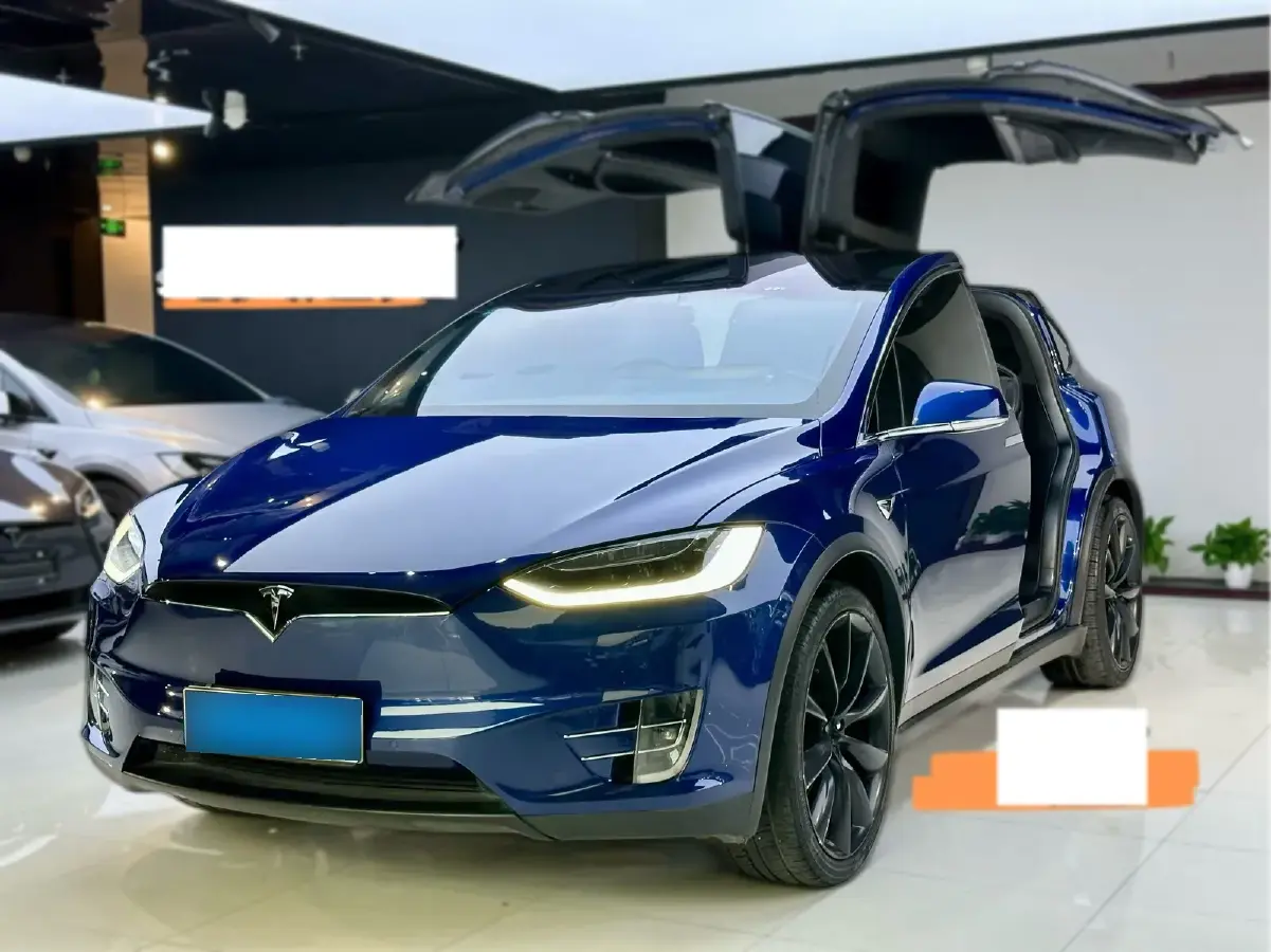 2017 Tesla Model X BEV 100KWH