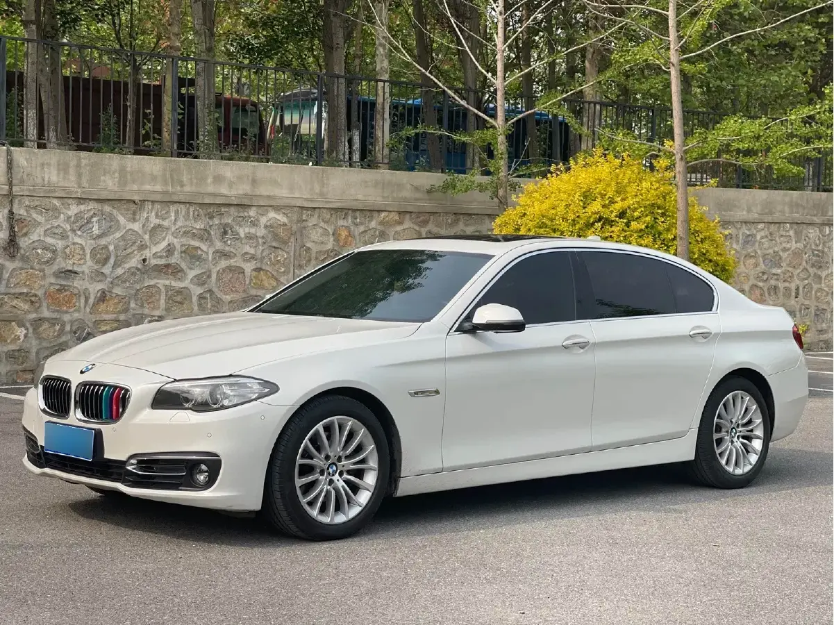 2014 BMW 5 Series 2.0T 218HP L4 8AT
