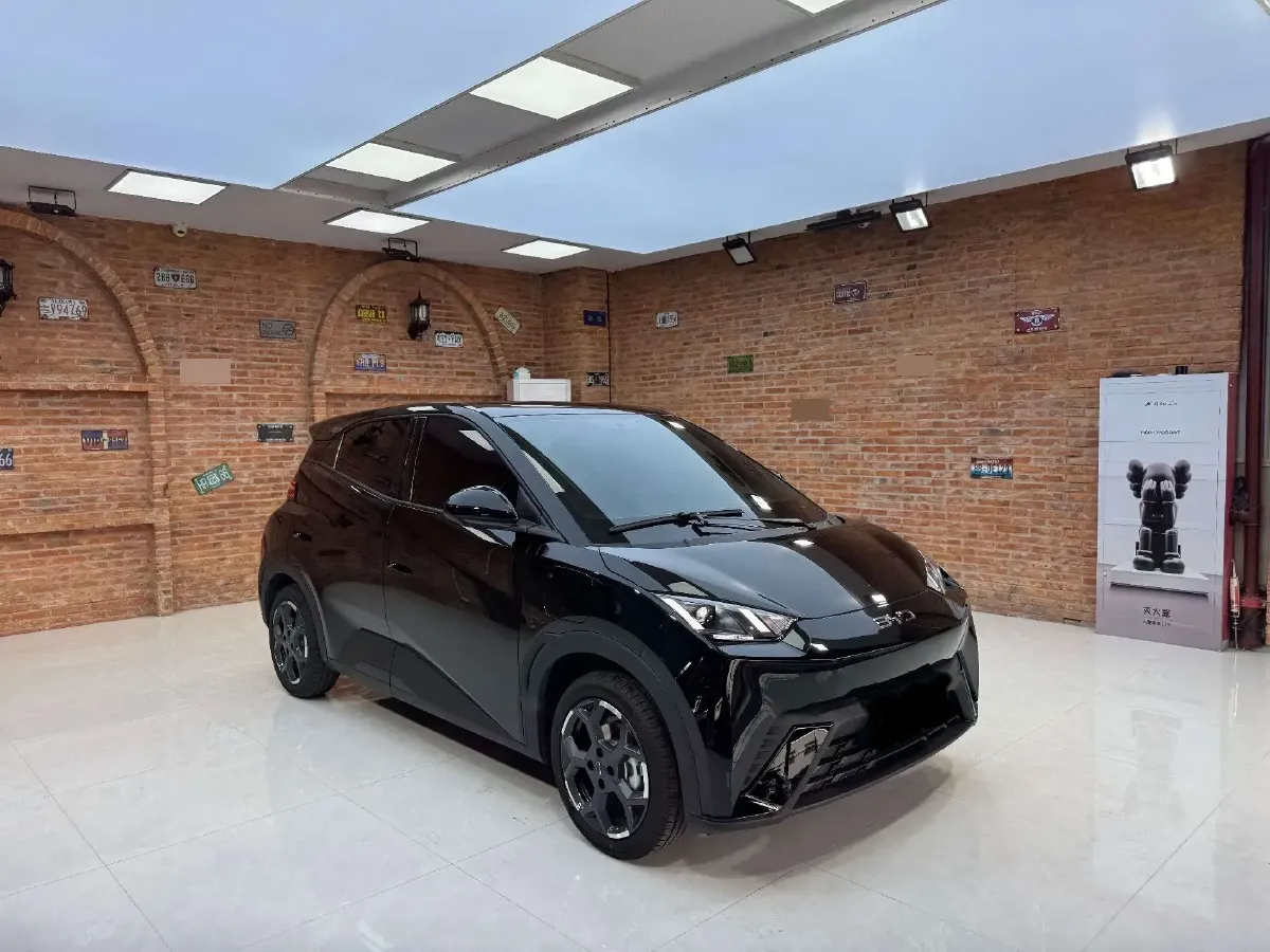 2025 BYD Seagull BEV 30.08KWH,autocango,china used car exporter,china ev exporter,chinese used car exporter,chinese used ev exporter