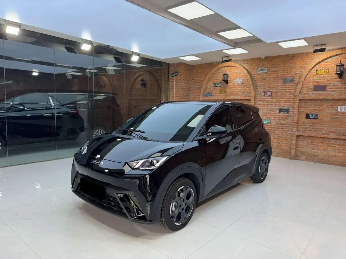 2025 BYD Seagull BEV 30.08KWH,autocango,china used car exporter,china ev exporter,chinese used car exporter,chinese used ev exporter