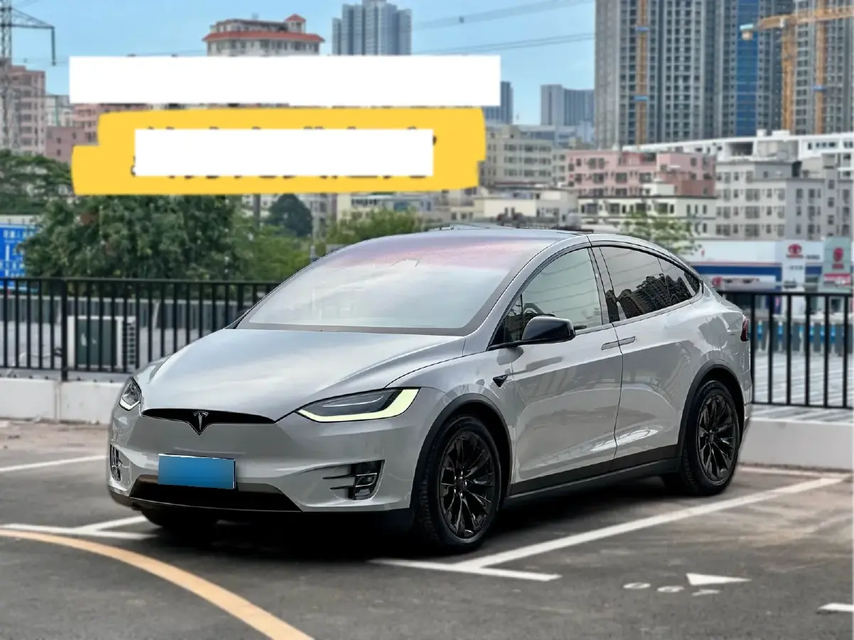 2017 Tesla Model X BEV 100KWH