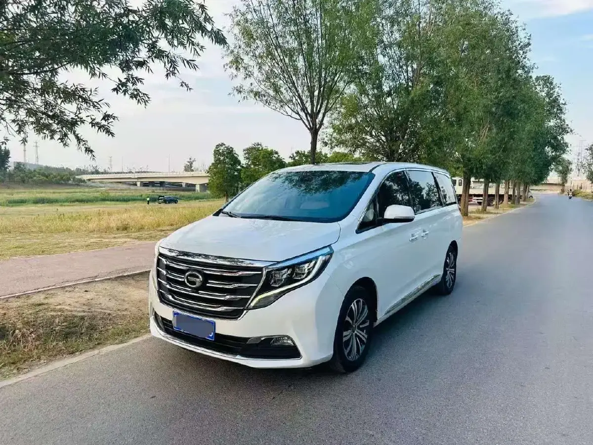 2018 GAC Trumpchi M8 2.0T 201HP L4 6AT