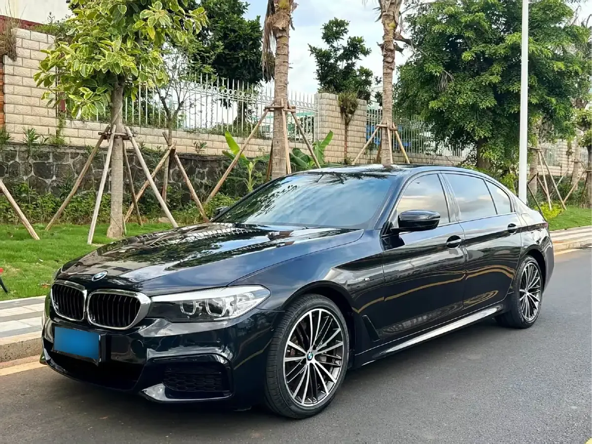 2019 BMW 5 Series 2.0T 252HP L4 8AT