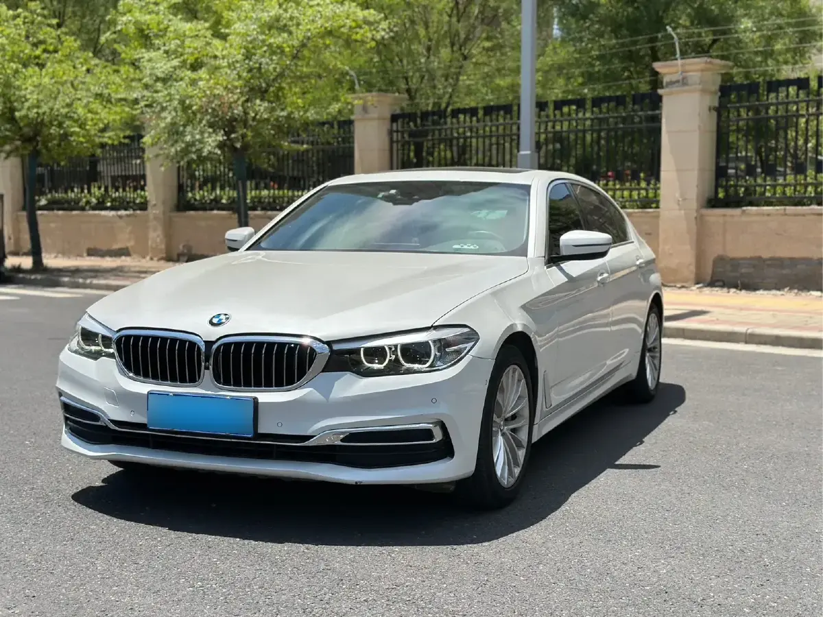 2019 BMW 5 Series 2.0T 252HP L4 8AT