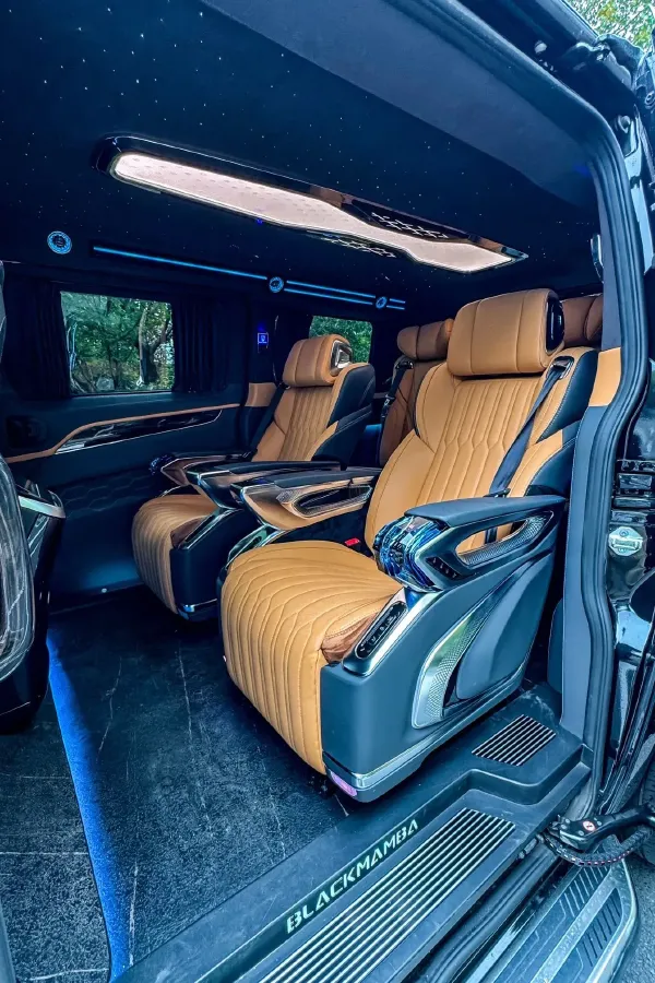 2024 Ford Tourneo 2.0T 220HP L4 9AT,autocango,china used car exporter,china ev exporter,chinese used car exporter,chinese used ev exporter