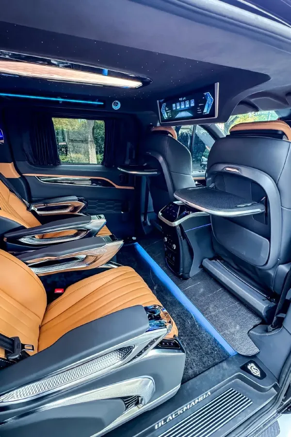 2024 Ford Tourneo 2.0T 220HP L4 9AT,autocango,china used car exporter,china ev exporter,chinese used car exporter,chinese used ev exporter