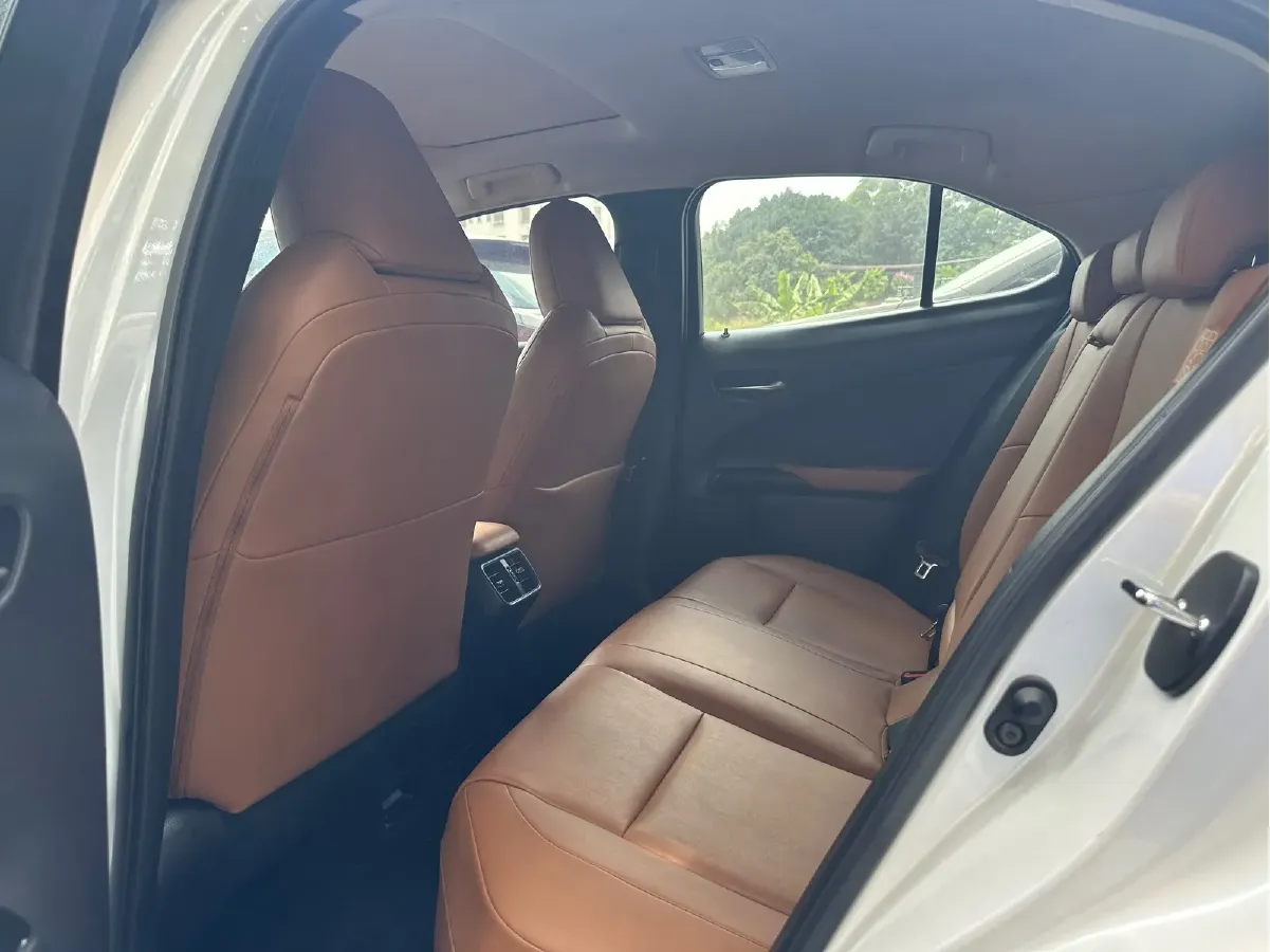 2020 Lexus UX 2.0L 173HP L4 CVT,autocango,china used car exporter,china ev exporter,chinese used car exporter,chinese used ev exporter