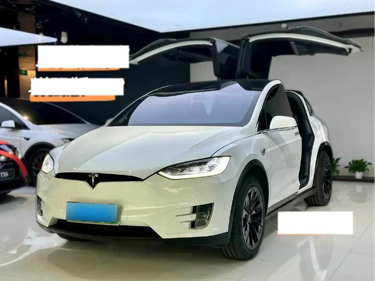 2017 Tesla Model X BEV 100KWH