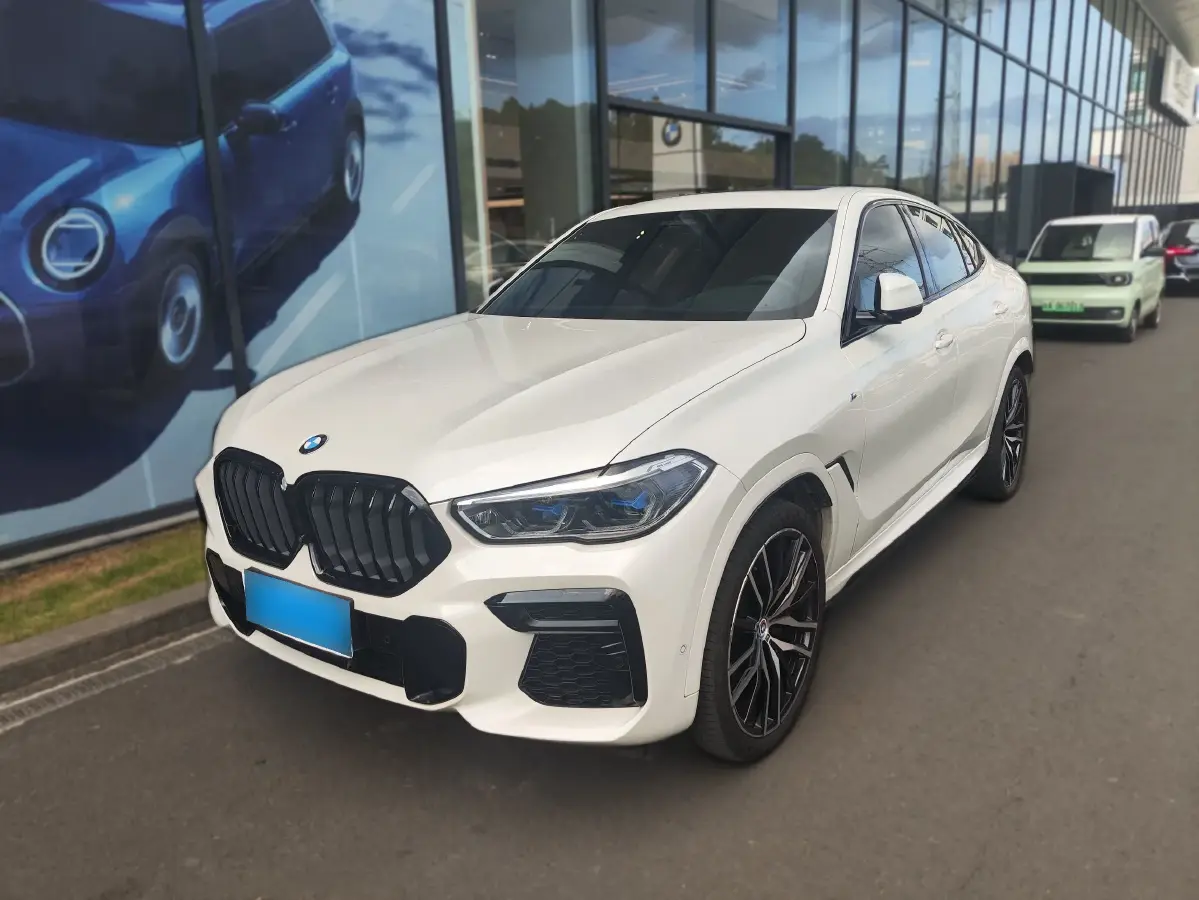 2022 BMW X6 3.0T 333HP L6 8AT
