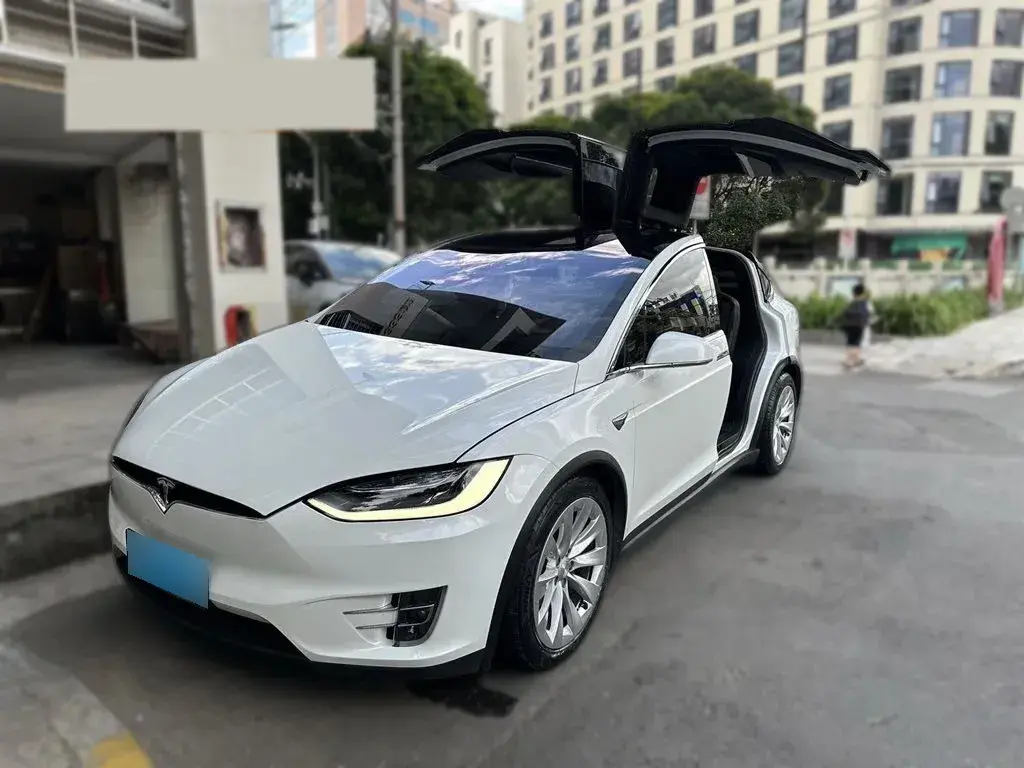 2019 Tesla Model X BEV 100KWH