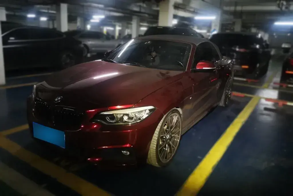 2019 BMW 2 Series 2.0T 184HP L4 8AT