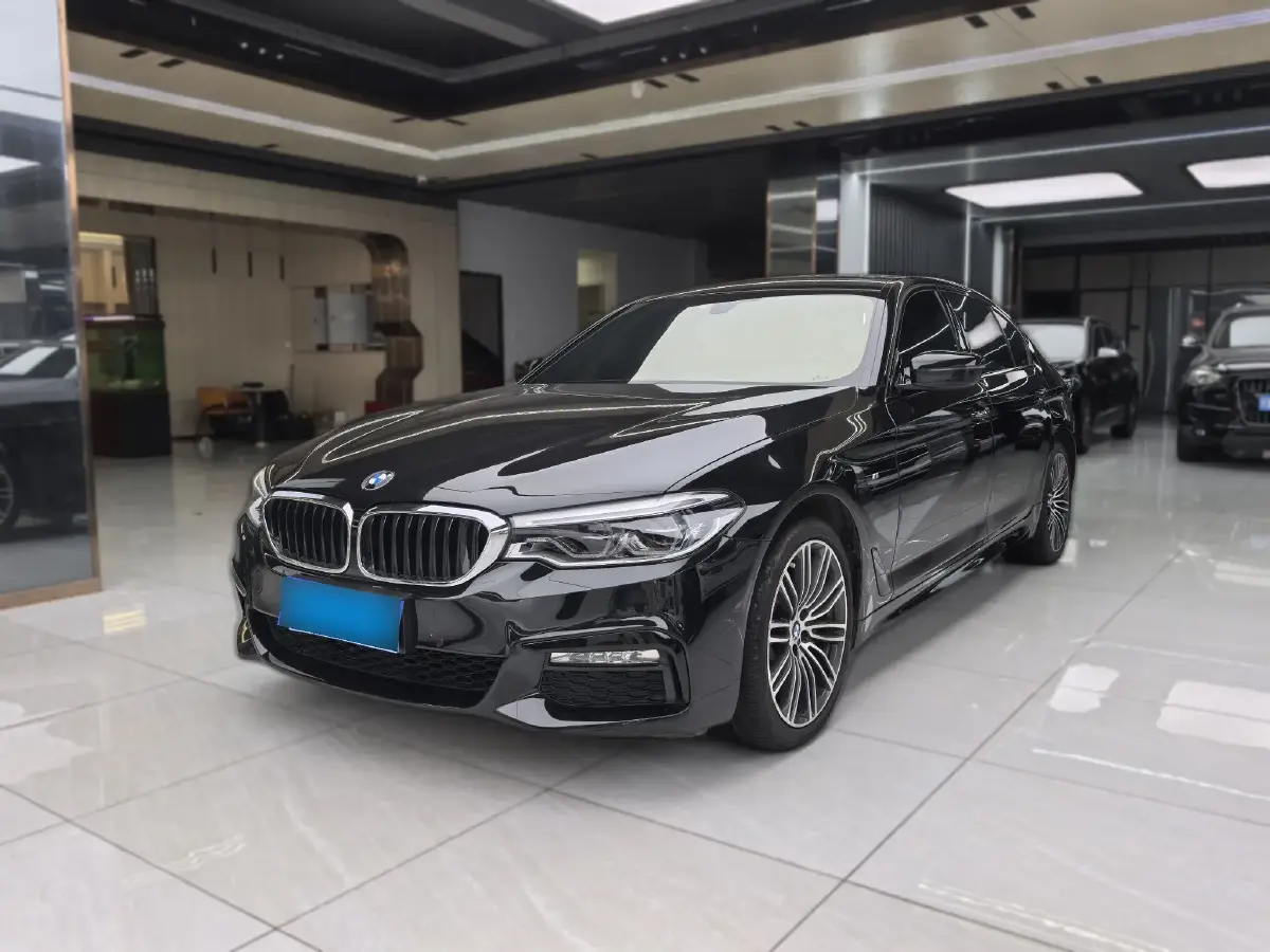 2018 BMW 5 Series 2.0T 252HP L4 8AT