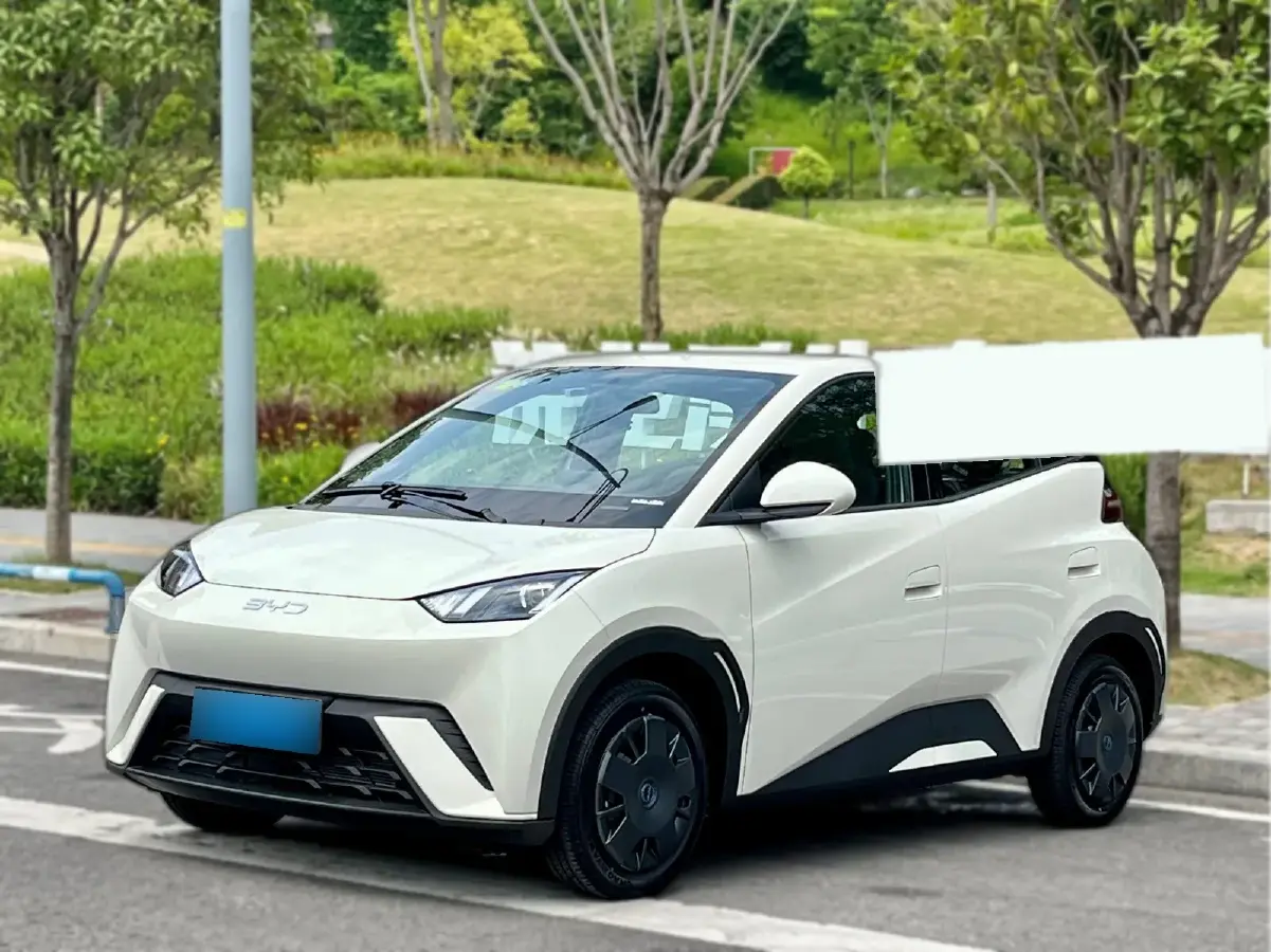2025 BYD Seagull BEV 30.08KWH