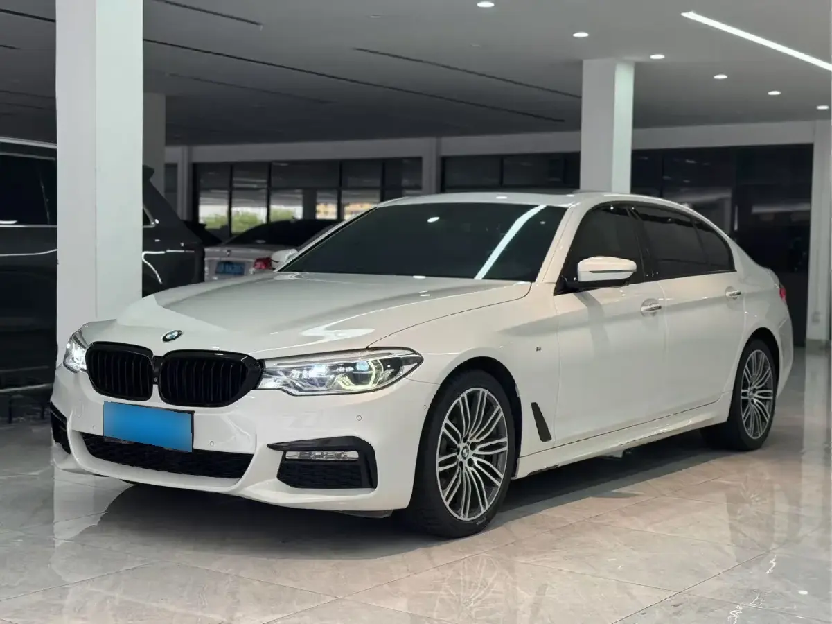 2019 BMW 5 Series 2.0T 252HP L4 8AT