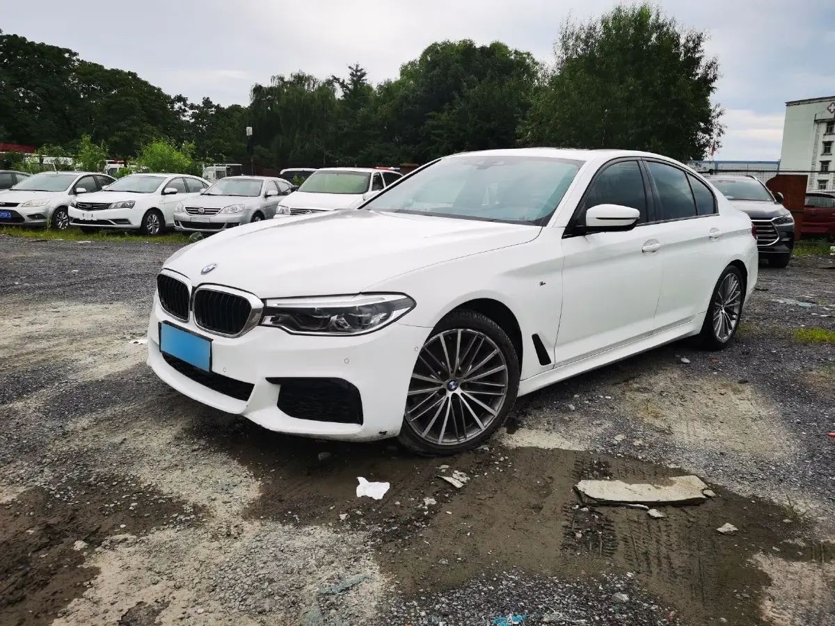 2020 BMW 5 Series 2.0T 252HP L4 8AT