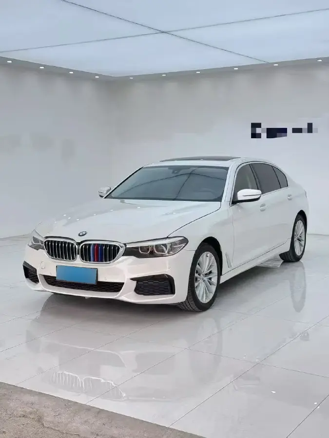 2018 BMW 5 Series 2.0T 224HP L4 8AT