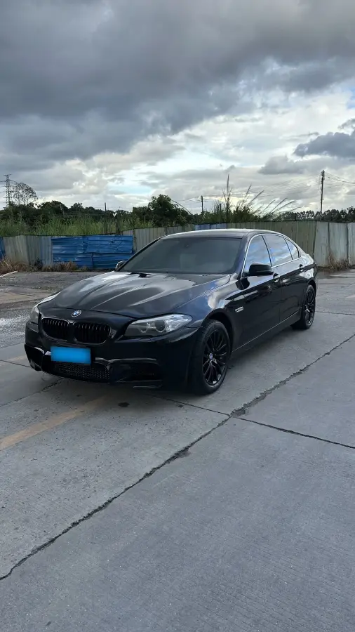 2014 BMW 5 Series 2.0T 218HP L4 8AT