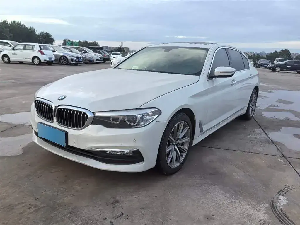 2018 BMW 5 Series 2.0T 224HP L4 8AT