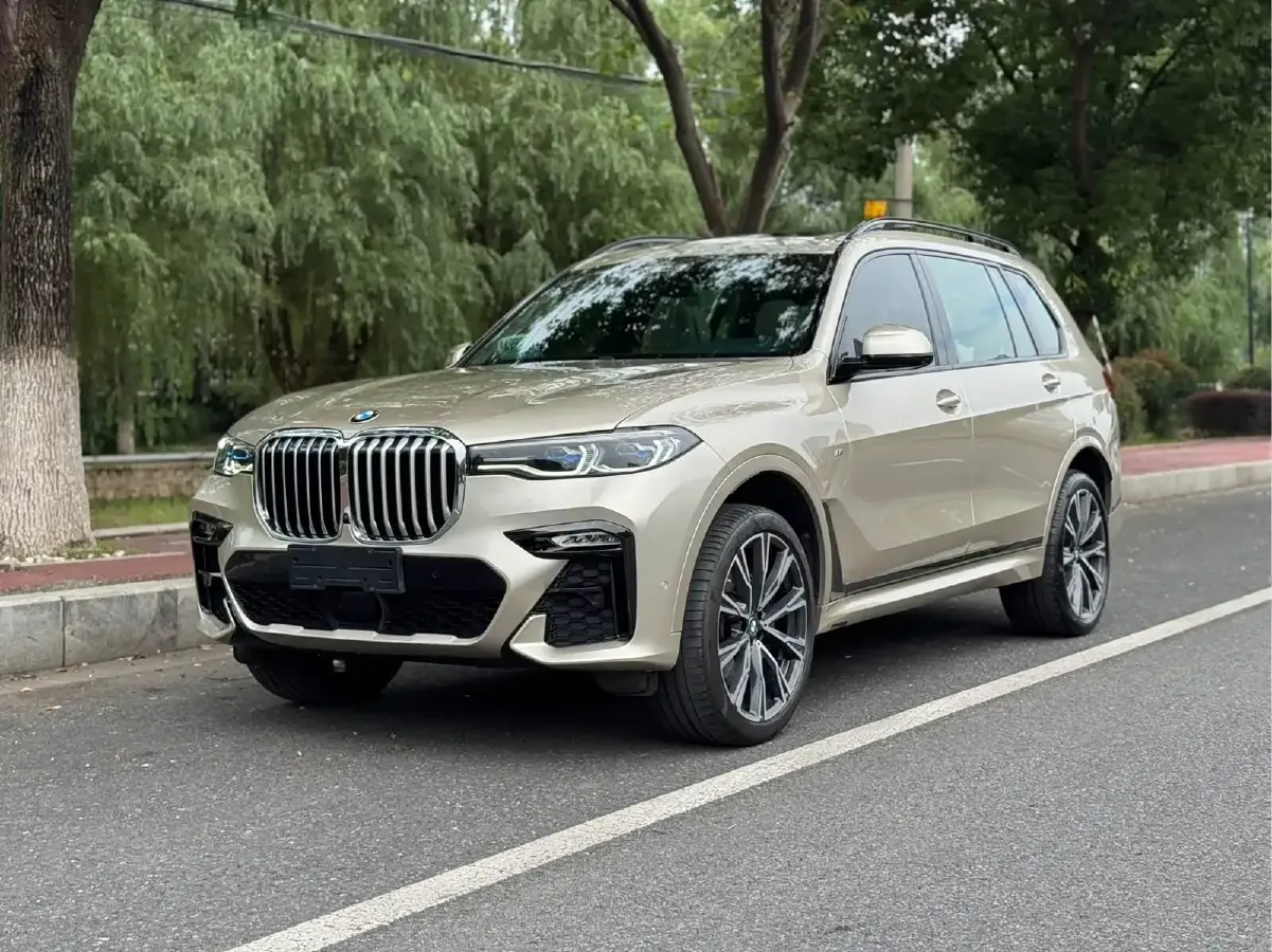 2019 BMW X7 3.0T 340HP L6 8AT