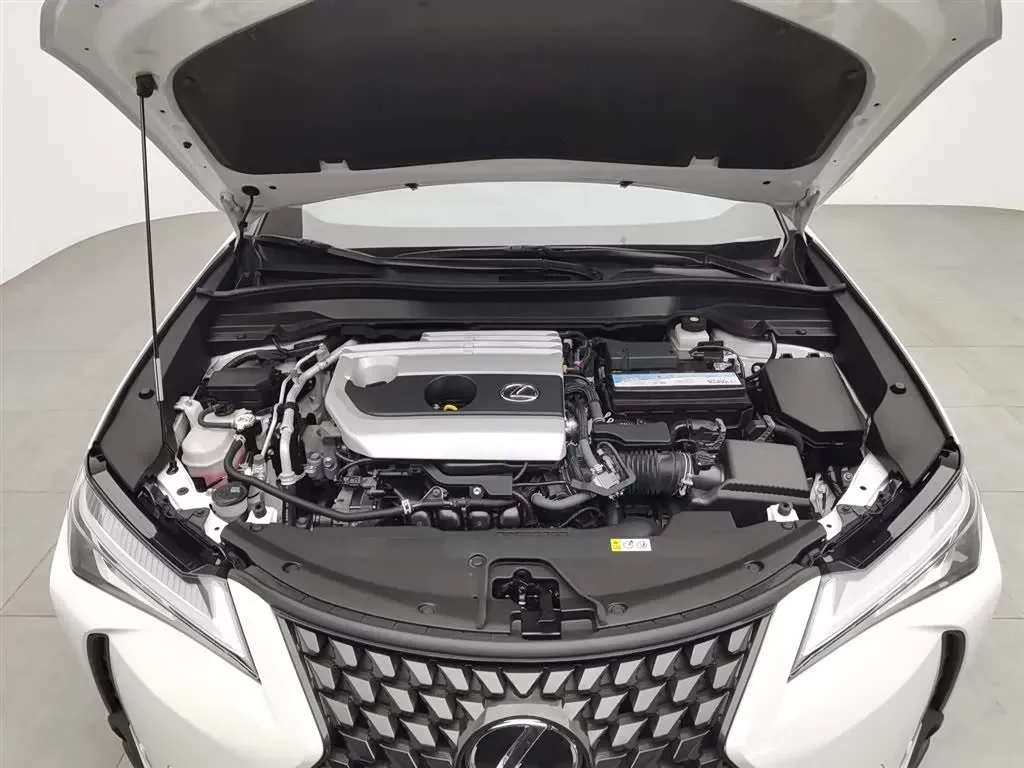 2020 Lexus UX 2.0L 173HP L4 CVT,autocango,china used car exporter,china ev exporter,chinese used car exporter,chinese used ev exporter