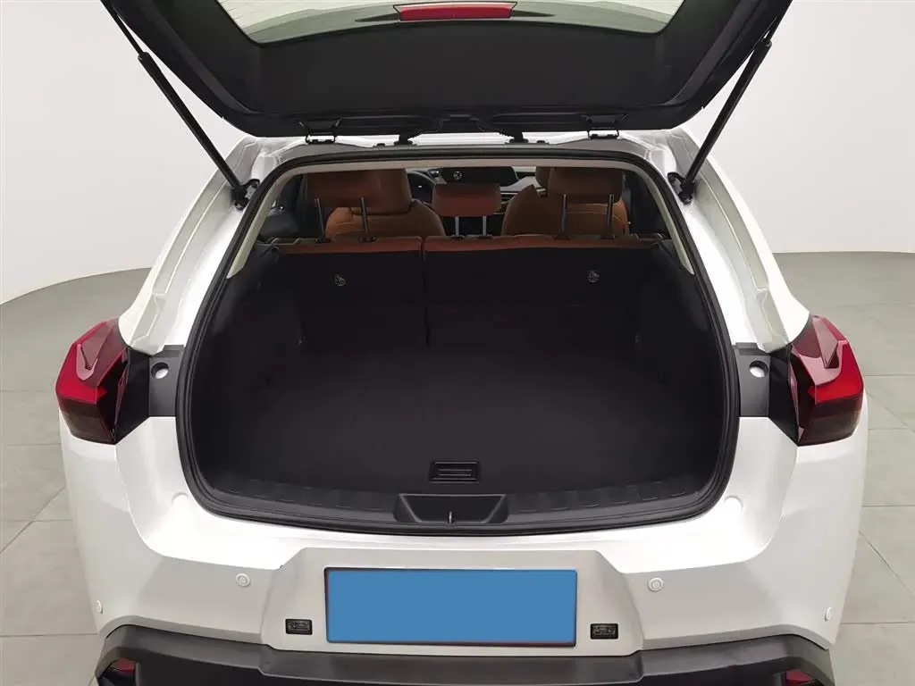 2020 Lexus UX 2.0L 173HP L4 CVT,autocango,china used car exporter,china ev exporter,chinese used car exporter,chinese used ev exporter