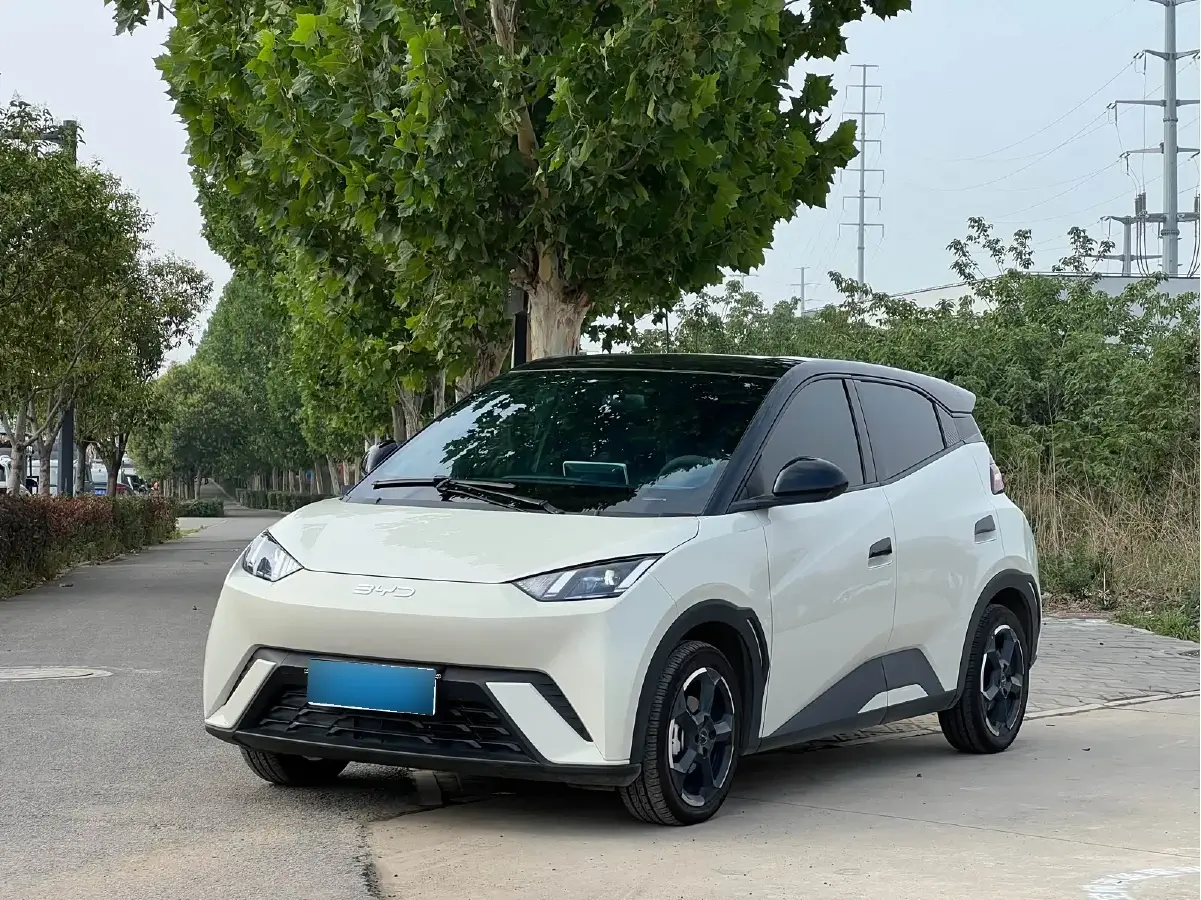 2023 BYD Seagull BEV 30.08KWH