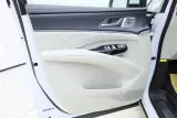 2024 Denza D9 1.5T 139HP L4 E-CVT PHEV 40KWH,autocango,china used car exporter,china ev exporter,chinese used car exporter,chinese used ev exporter