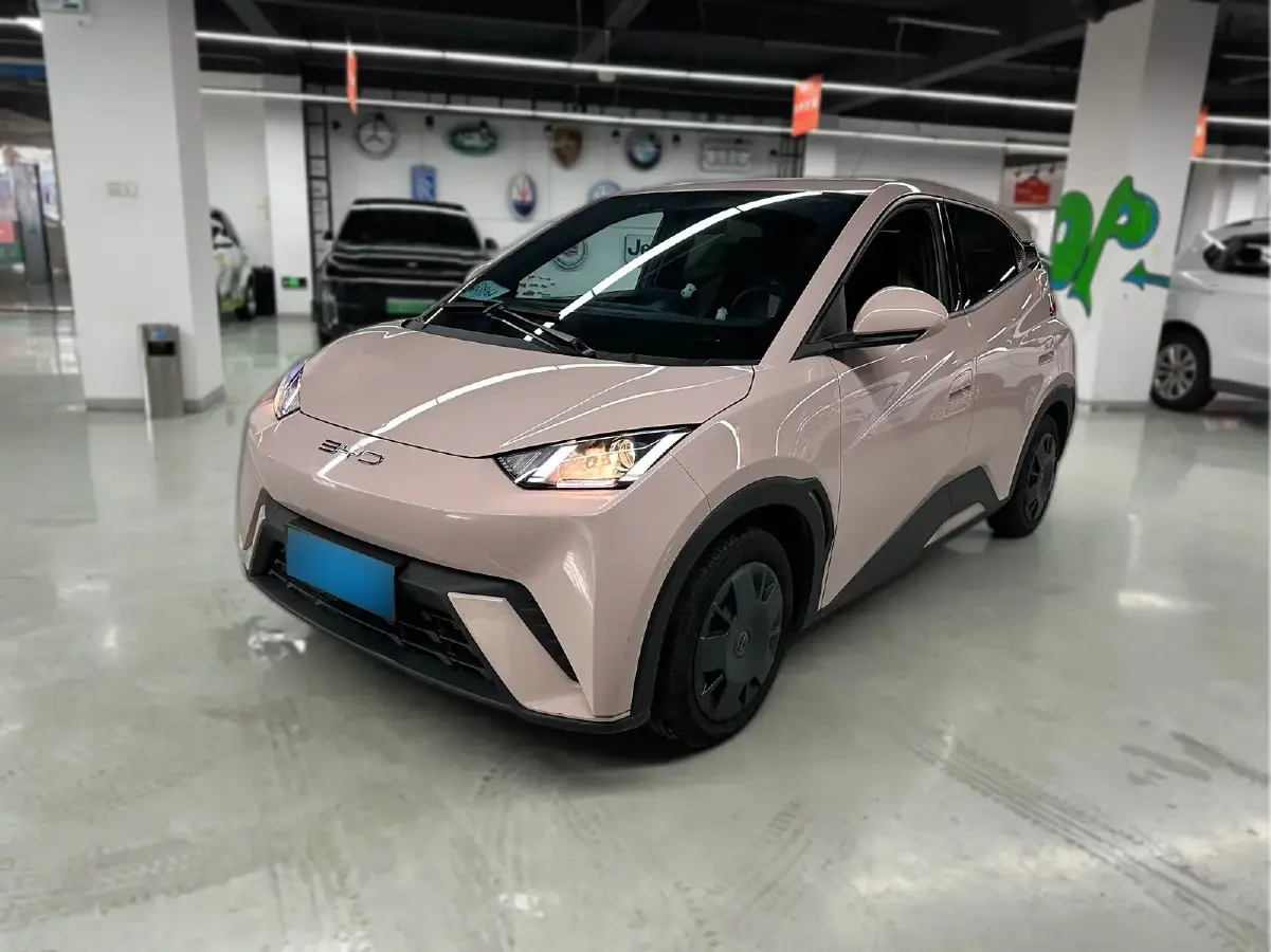 2024 BYD Seagull BEV 30.08KWH