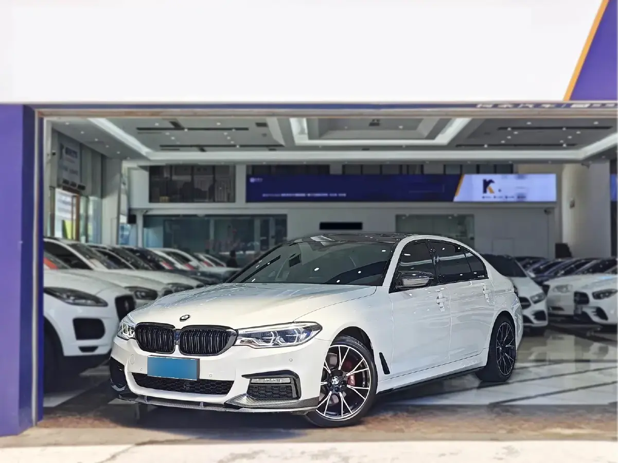 2019 BMW 5 Series 2.0T 252HP L4 8AT