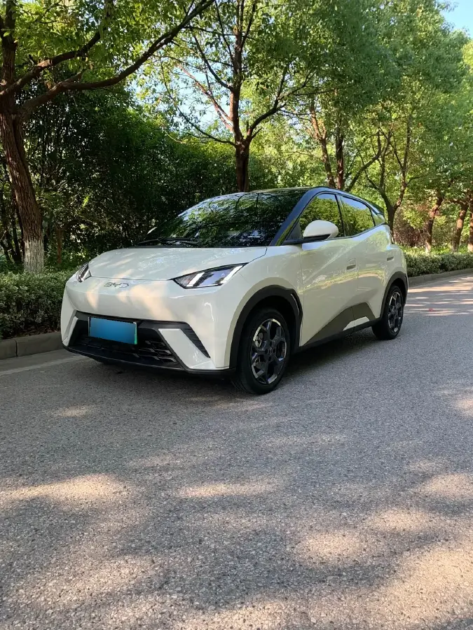 2025 BYD Seagull BEV 30.08KWH