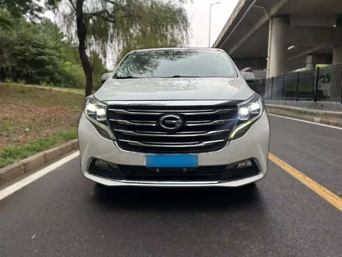 2018 GAC Trumpchi M8 2.0T 201HP L4 6AT