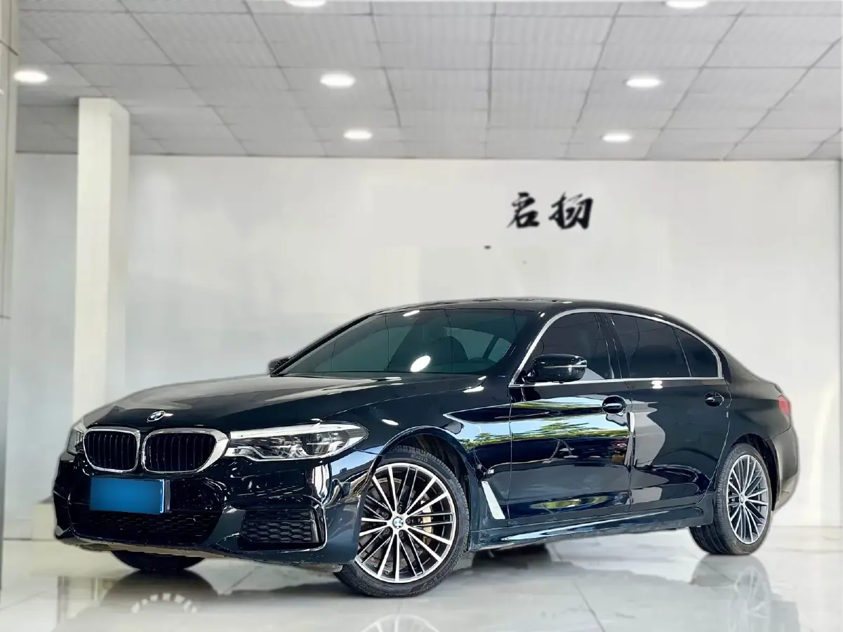 2020 BMW 5 Series 2.0T 252HP L4 8AT