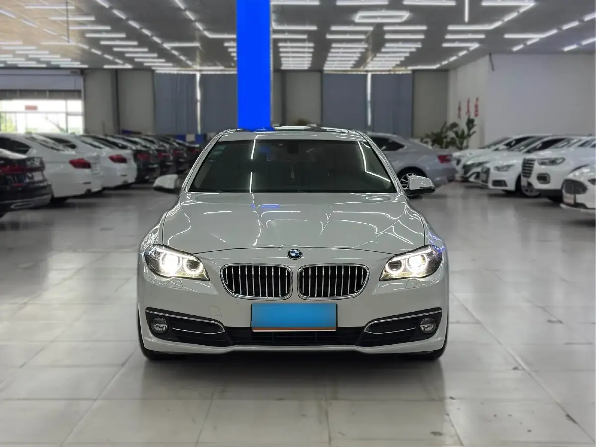 2017 BMW 5 Series 2.0T 218HP L4 8AT