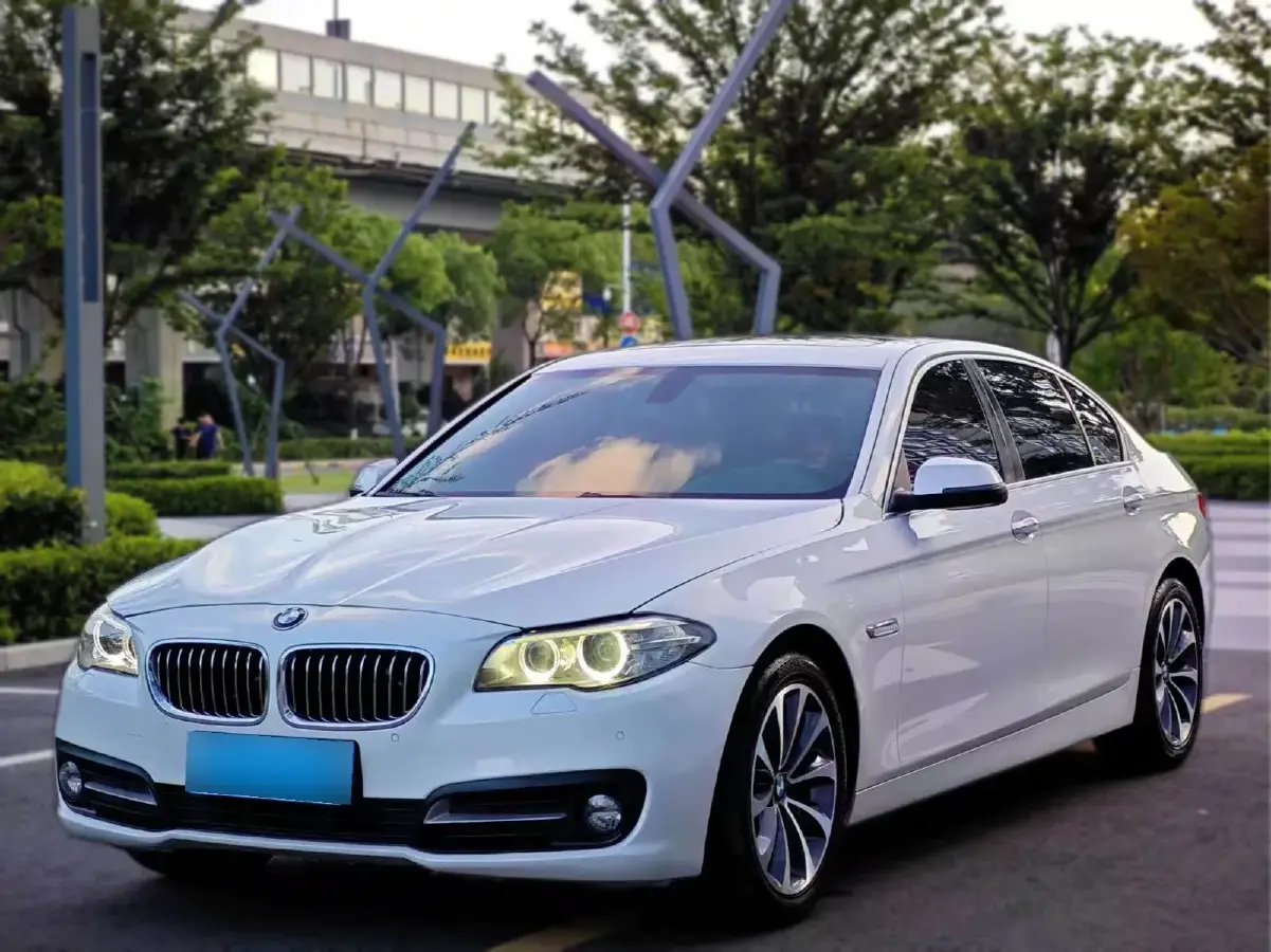 2017 BMW 5 Series 2.0T 218HP L4 8AT