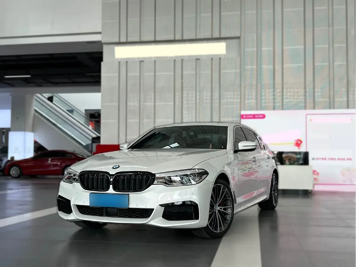 2020 BMW 5 Series 2.0T 252HP L4 8AT 2020 BMW 5 Series 2.0T 252HP L4 8AT