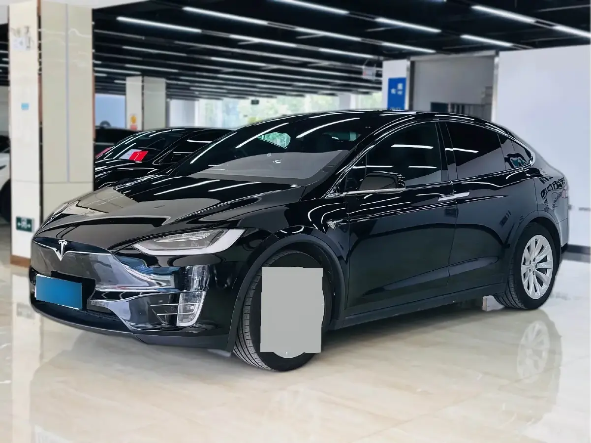 2019 Tesla Model X BEV 100KWH