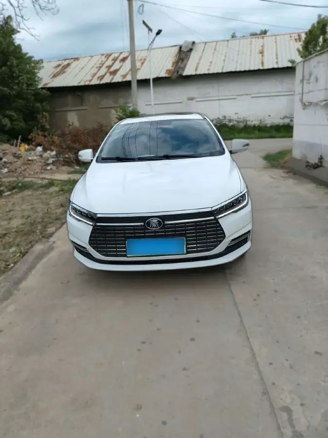 2019 BYD Qin BEV 53.1KWH