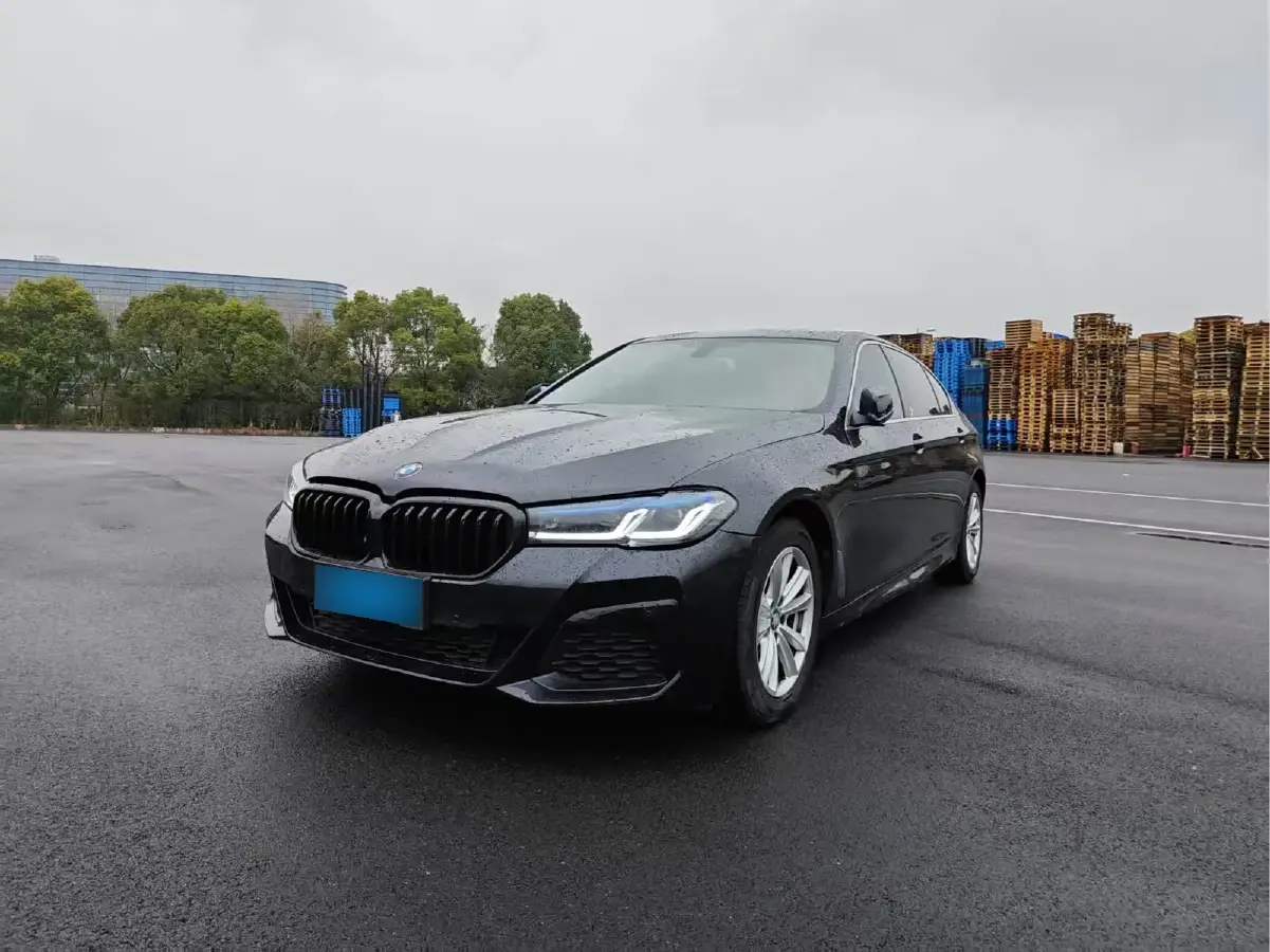 2010 BMW 5 Series 2.5L 163HP L6 6AT