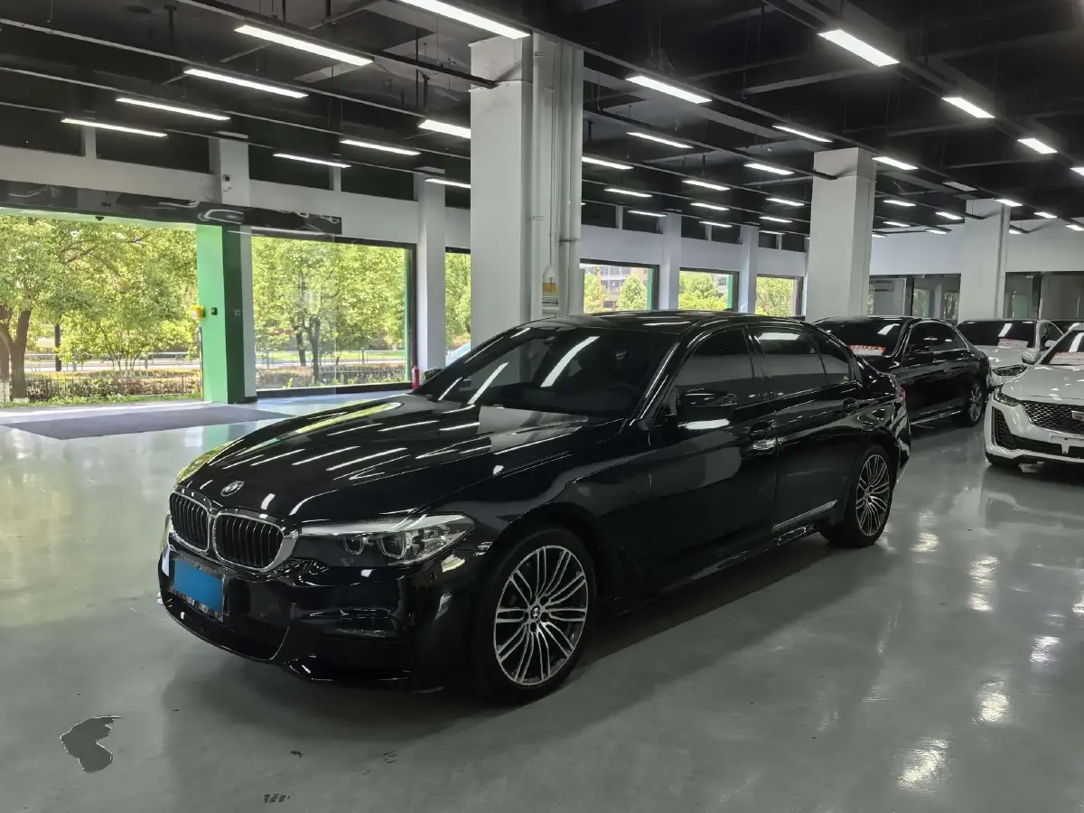 2019 BMW 5 Series 2.0T 252HP L4 8AT